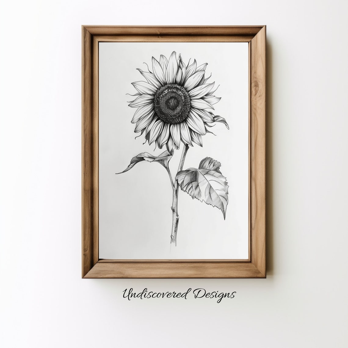 Sunflower Single Bloom Vintage Pencil Sketch Botanical Art Poster