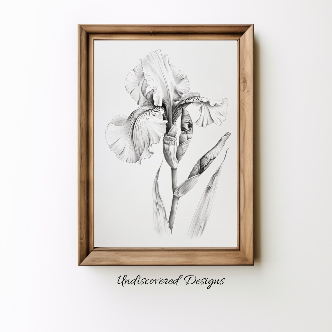 Elegant Blooming Iris Vintage Pencil Sketch Botanical Flower Poster