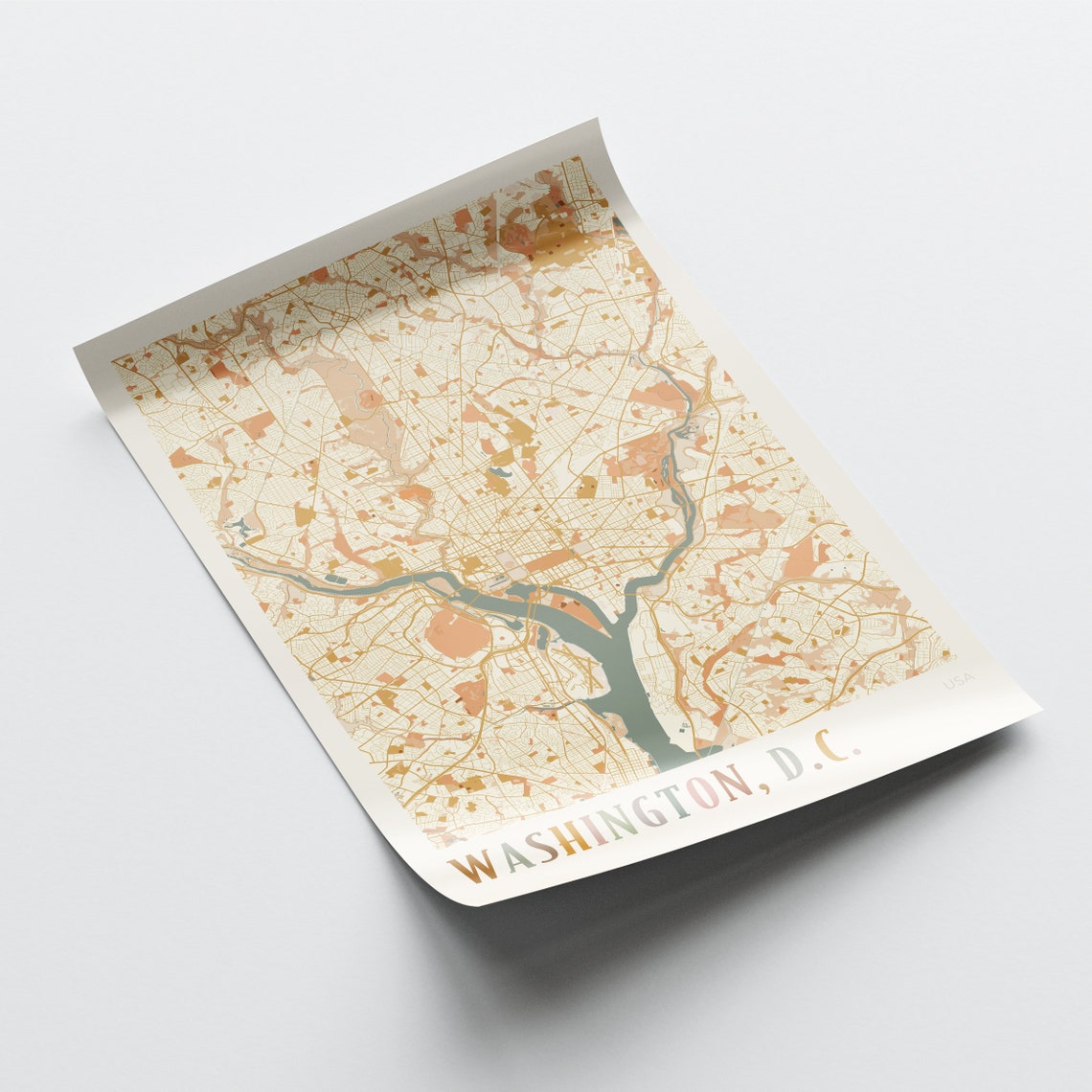 Washington DC Detailed Capital City Map Multicolor Art Poster - Image 2