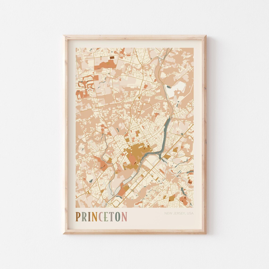 Princeton New Jersey Boho City Street Map Travel Gift Poster