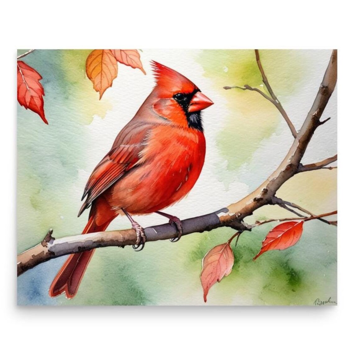 Red Cardinal Watercolor Art Print, Autumn Branch