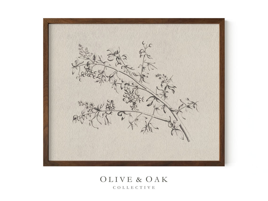 Neutral Branch Sketch - Vintage Botanical - Image 3