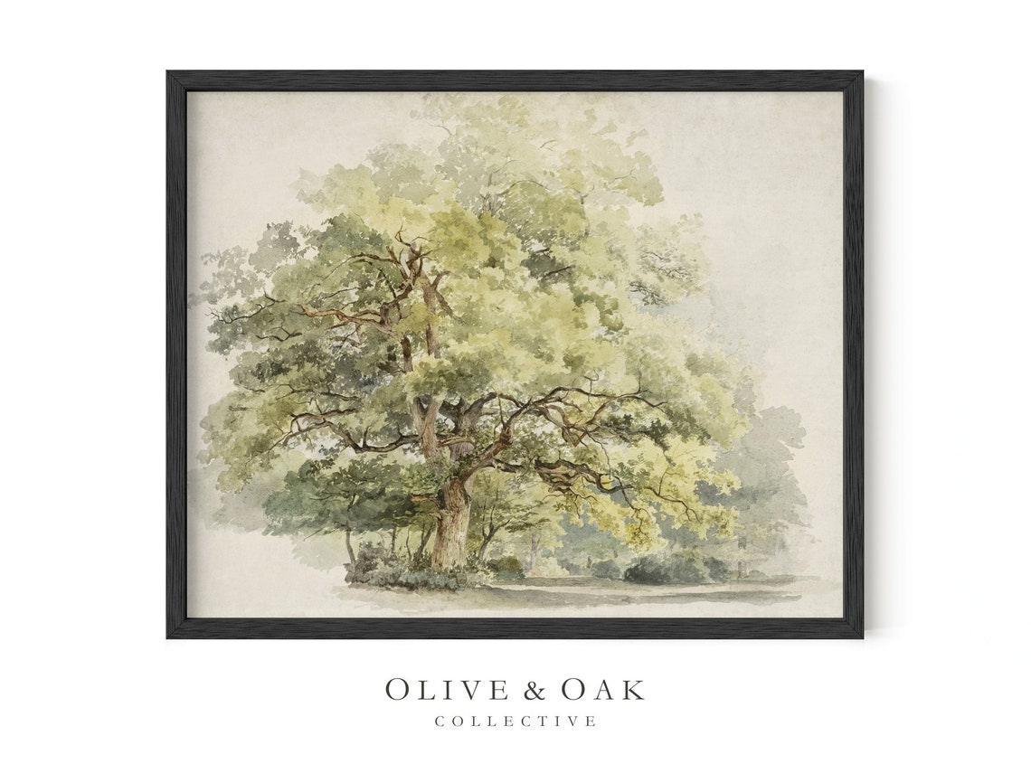 Oak Tree Drawing, Rustic Country Cottagecore Art Print - Image 2
