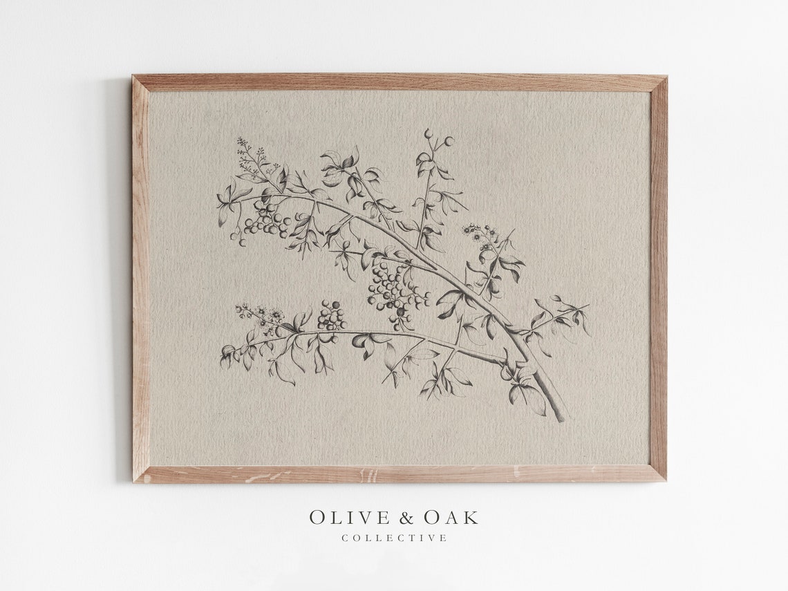 Branch Sketch Vintage Botanical Art Print