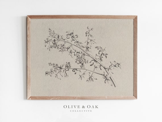 Branch Sketch Vintage Botanical Art Print
