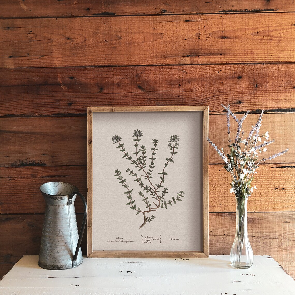 Thyme Drawing Kitchen Art Print, Herbal Wall Art - Image 4