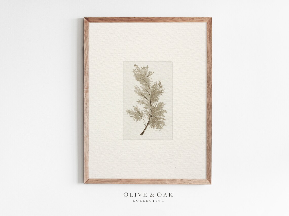 Vintage Tree Branch Drawing, Antique Botanical Art Print