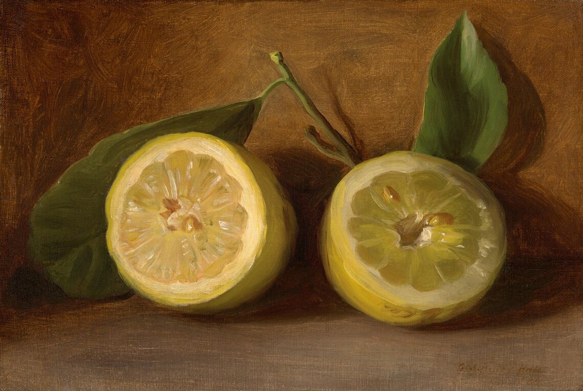 Lemon Vintage Farmhouse Art Print, Country Kitchen - Image 3