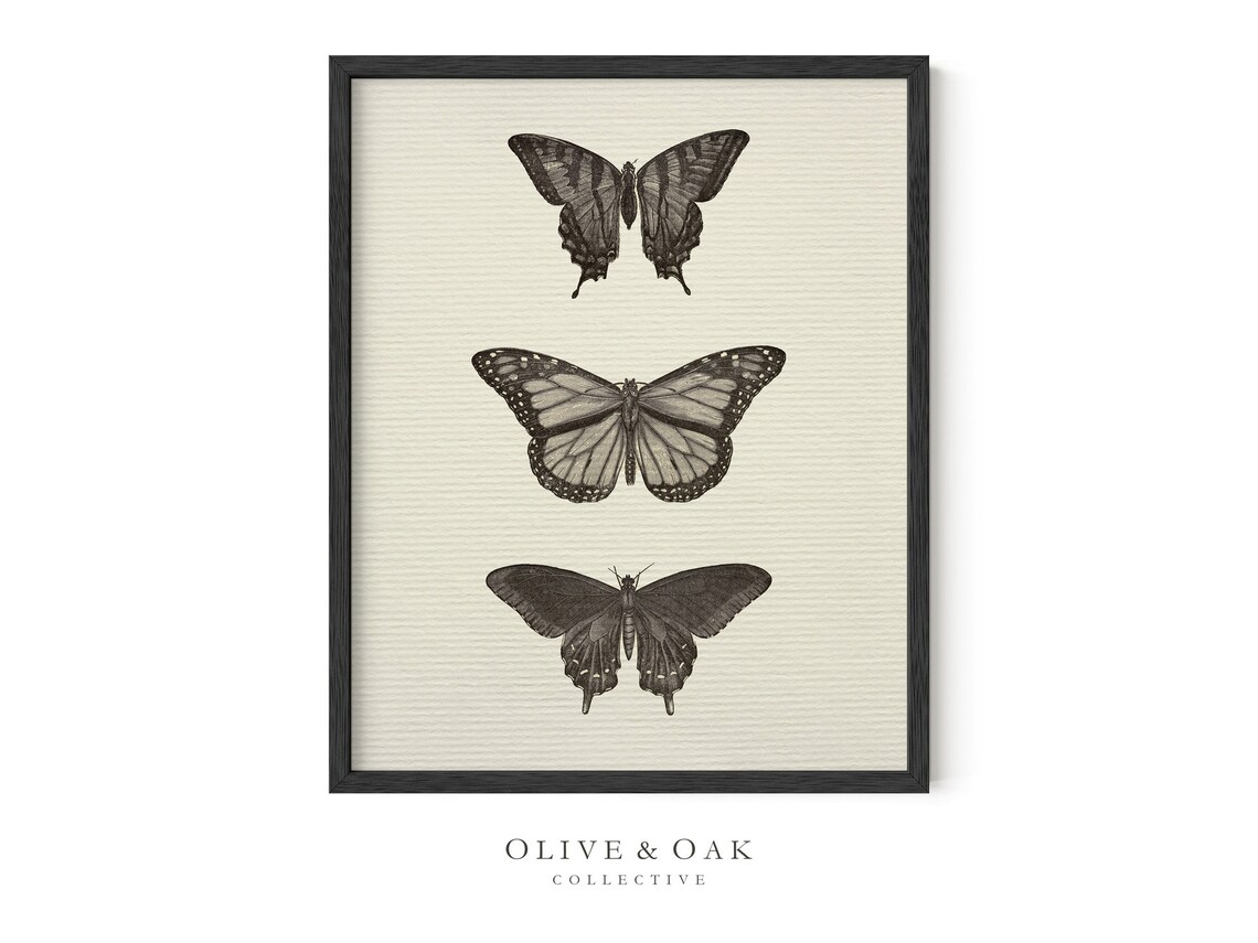 Vintage Neutral Butterfly Print, Antique Drawing - Image 2