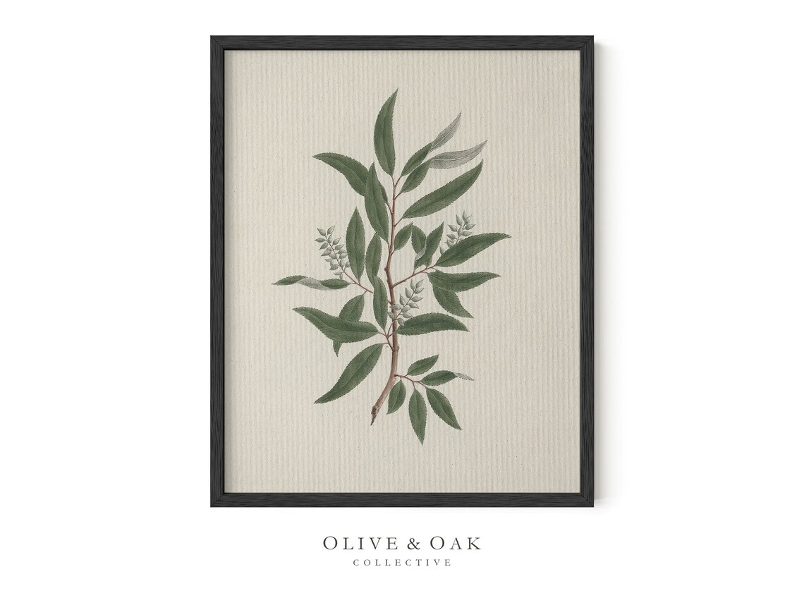 Vintage Botanical Tree Branch Art Print, Farmhouse Decor - Image 3