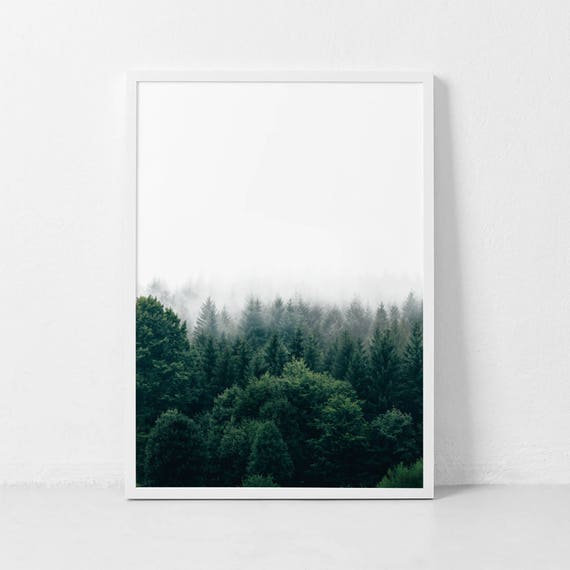 Forest Print Forest Photography Nature Prints Forest Wall Art Forest Art Wilderness Poster Woodland Prints Modern Art