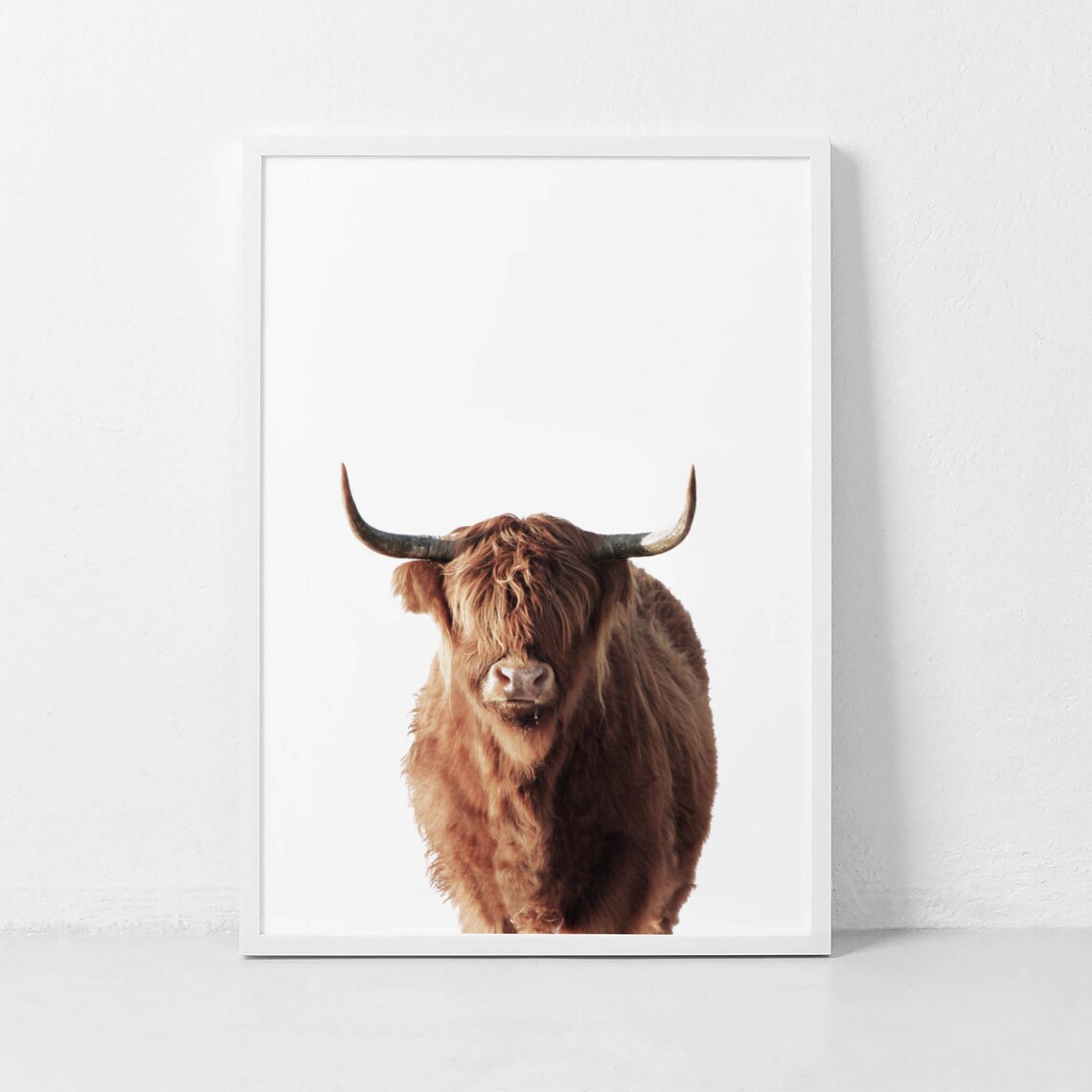 Highland Cow Portrait Art Print, Farm Animal Wall Art