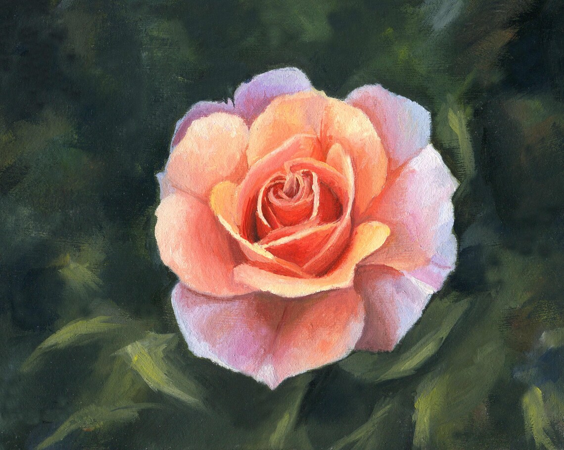 Delicate Peach Garden Rose in Full Bloom Oil Painting Floral Poster - Image 5