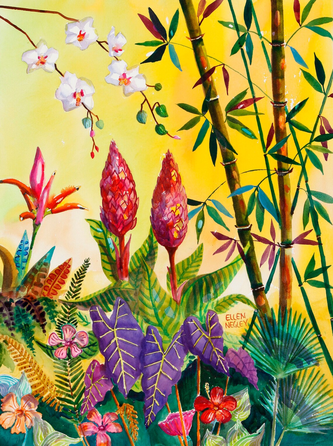 Ellen Negley Tropical Botanical Art Print, Florida