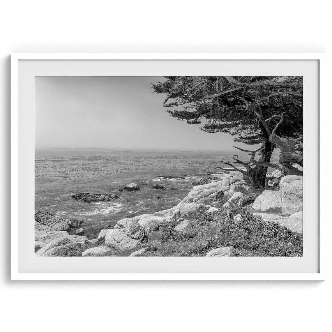 Monterey Cypress Tree Rocky Ocean Bluff Black White Coastal Poster - Image 4