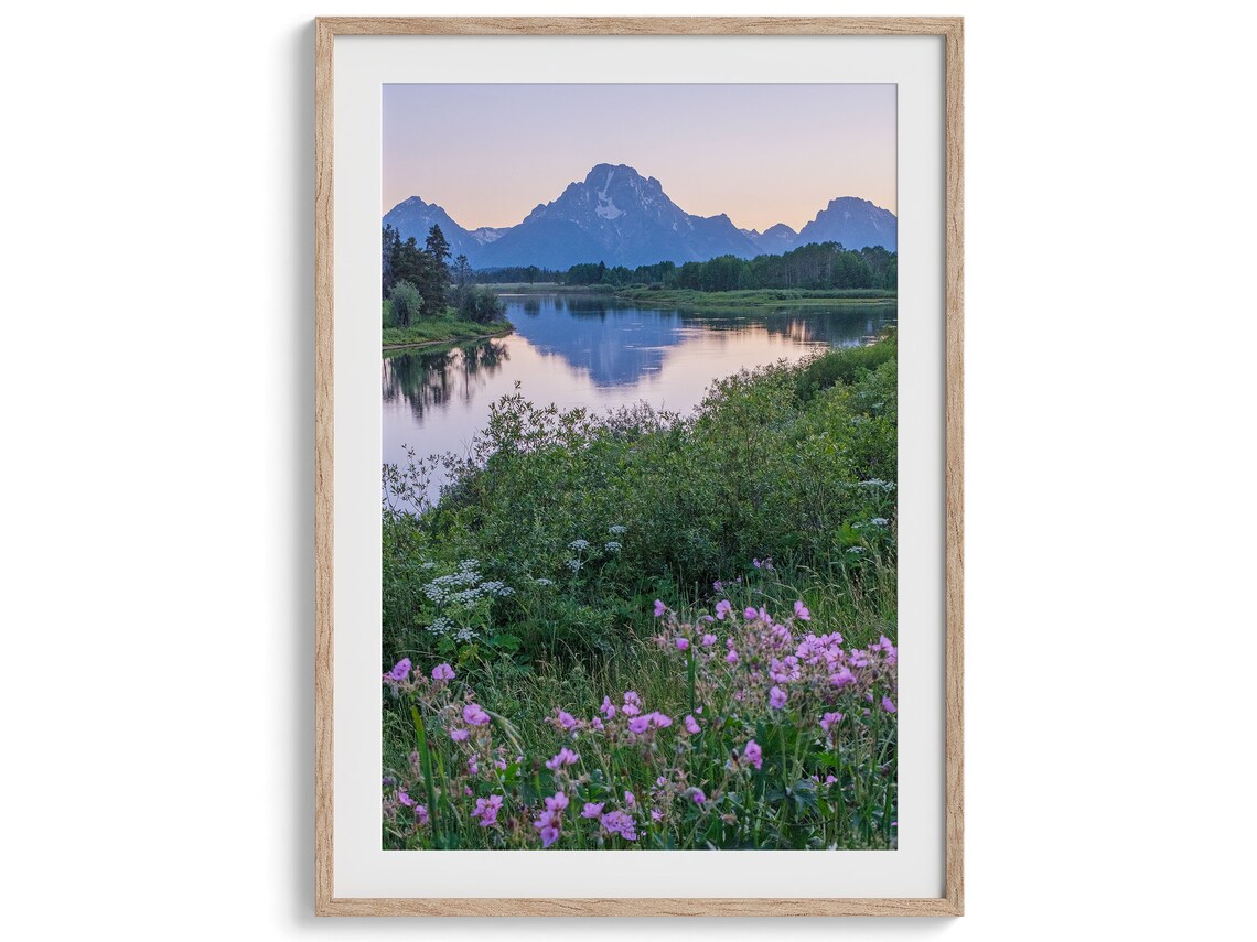 Grand Teton Mountain Flowers Nature Landscape Print