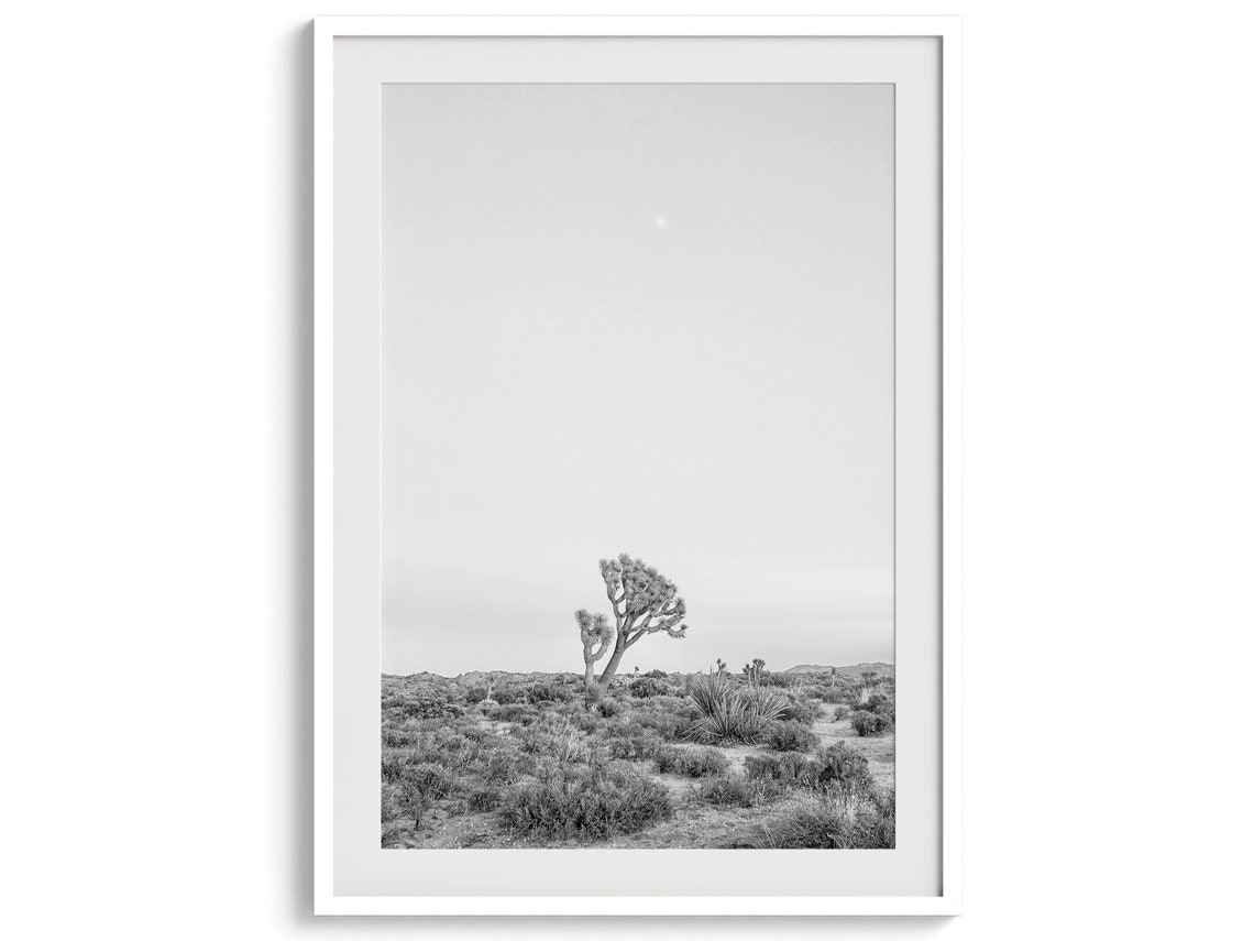 Joshua Tree National Park Desert Black White Minimal Landscape Poster - Image 4