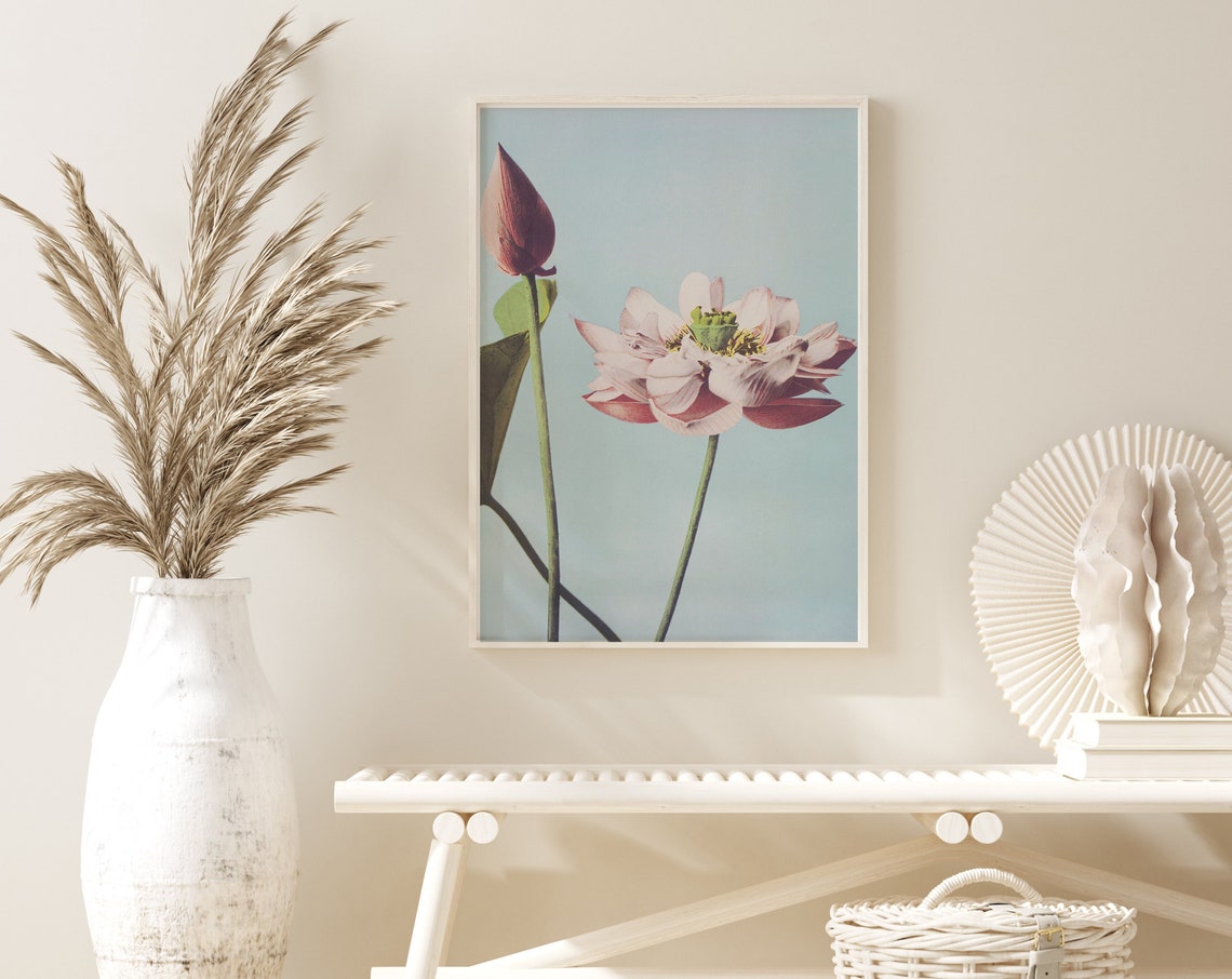 Pink Lotus Flower Minimal Floral Zen Photography Style Poster