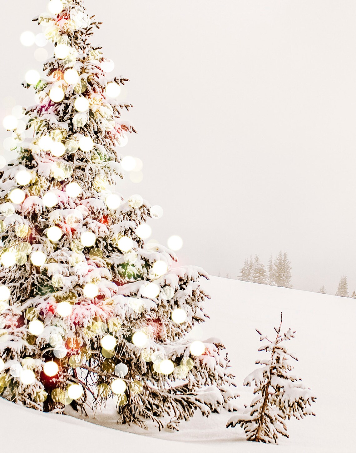 Snowy Pine Tree with Lights, Rustic Winter Art Print - Image 2