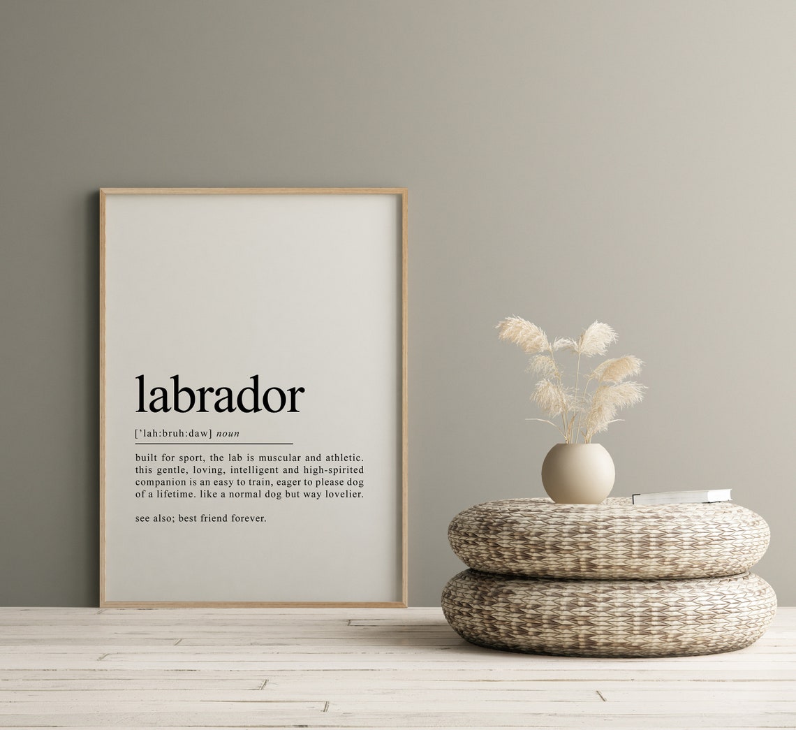 Labrador Dog Definition Typography Funny Dog Lover Gift Poster - Image 2