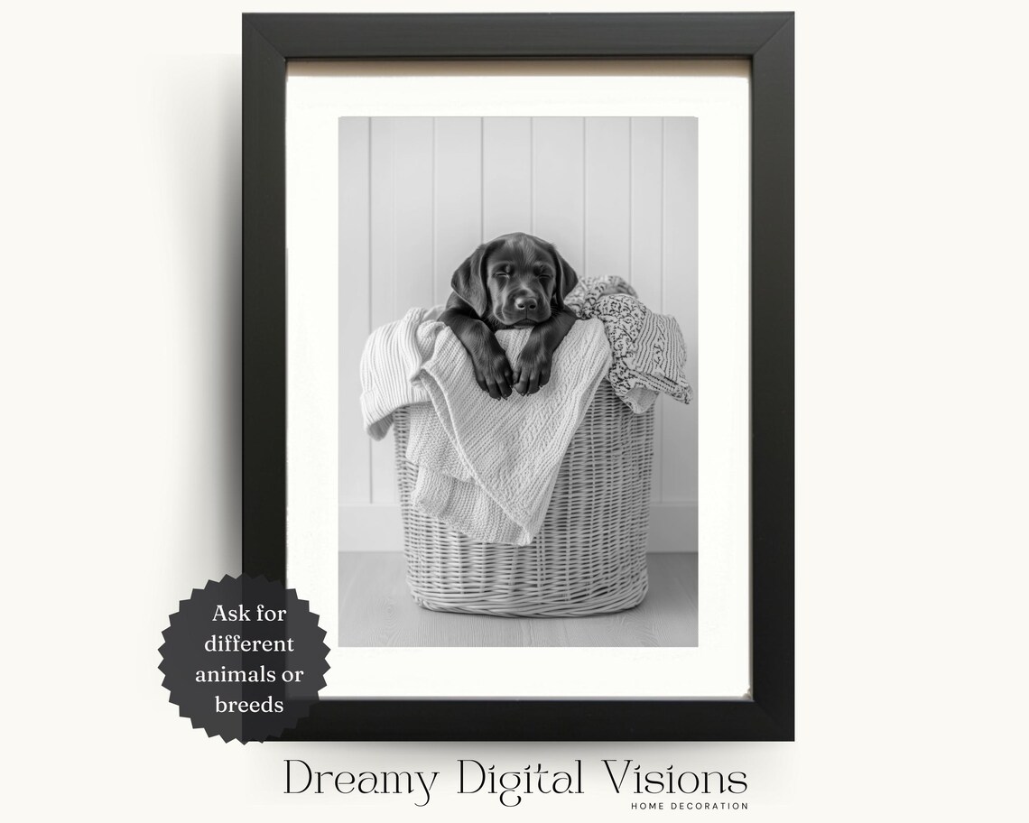 Black Labrador Puppy Asleep on a Laundry Basket, Wall Art