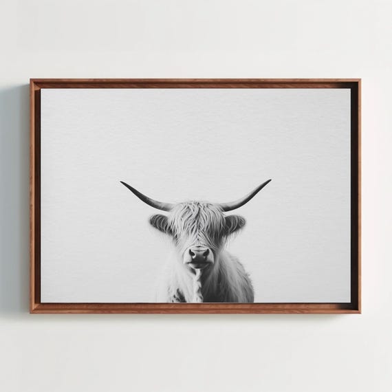 Black And White Highland Cow Portrait Print Rustic Farmhouse Wall Art Moody Cattle Photography For Living Room Or Office