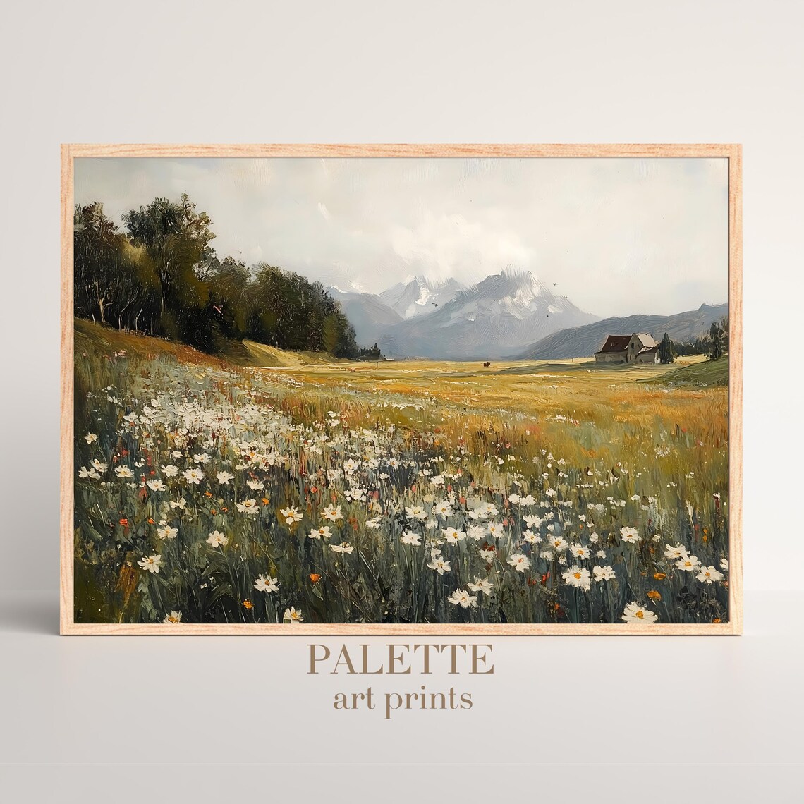 White Daisy Field Farmhouse Mountain Vista Country Landscape Poster