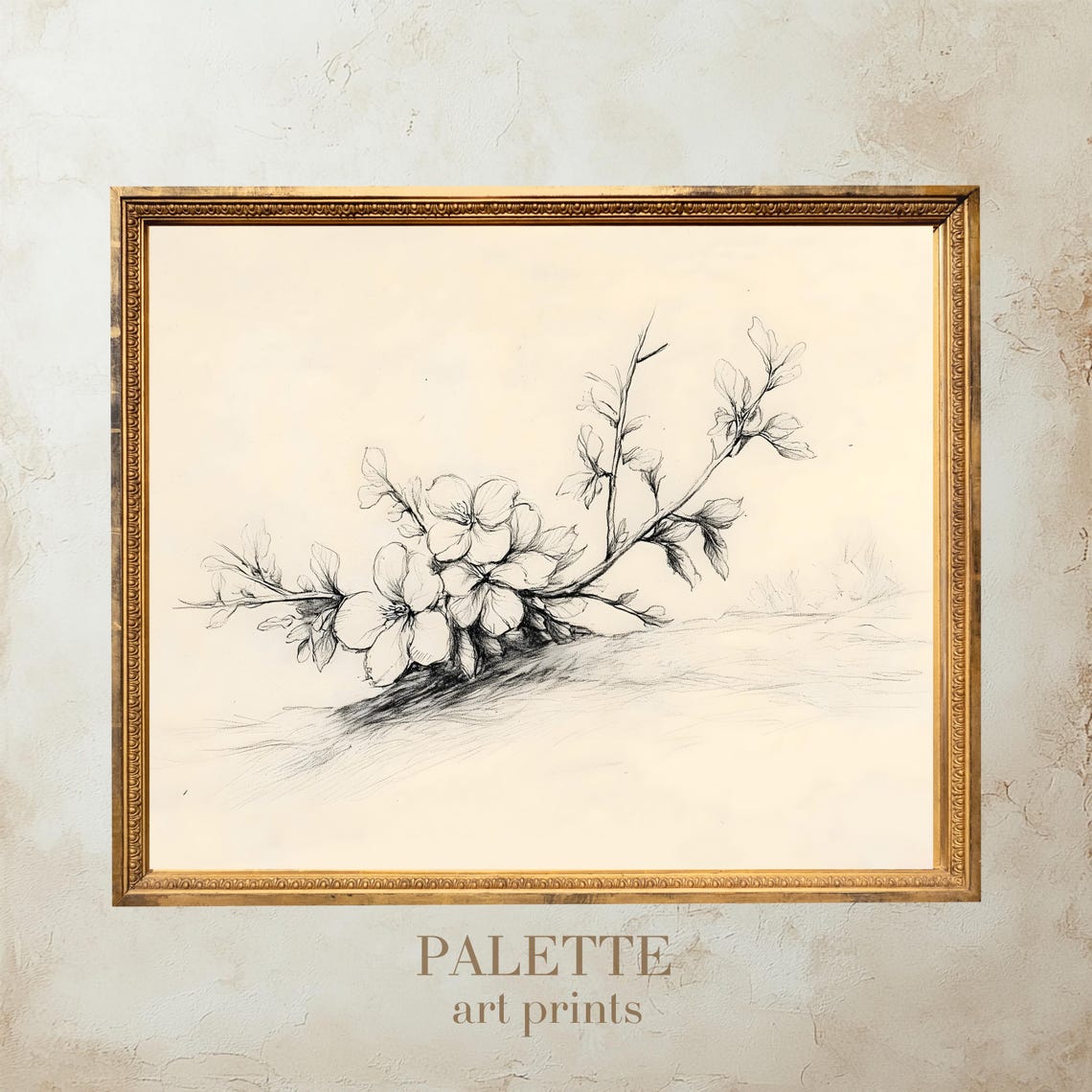 Delicate Flowering Blossom Branch Botanical Pencil Sketch Print