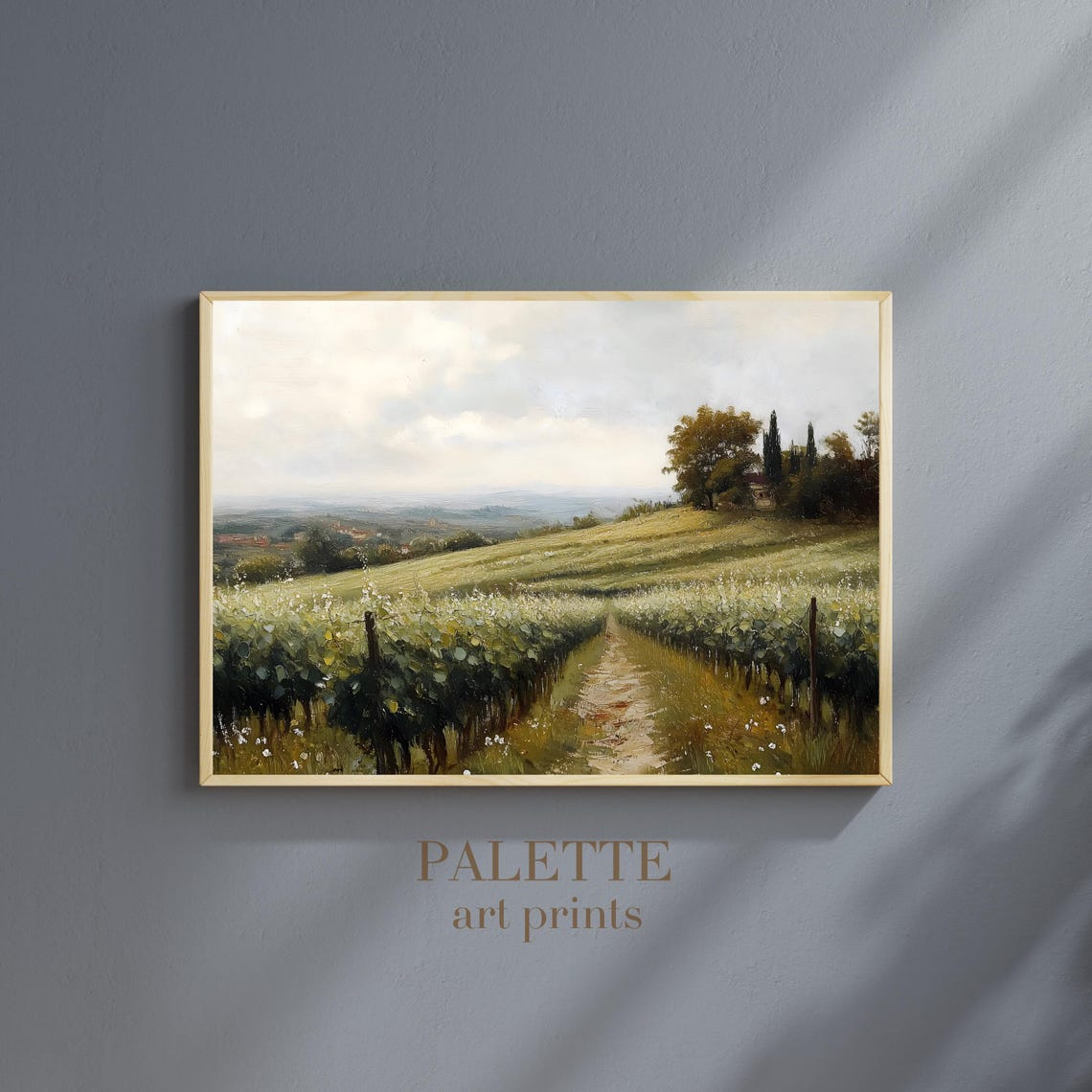 Vineyard Rows Rolling Over Sunlit Hills With Cypress Trees Poster - Image 3