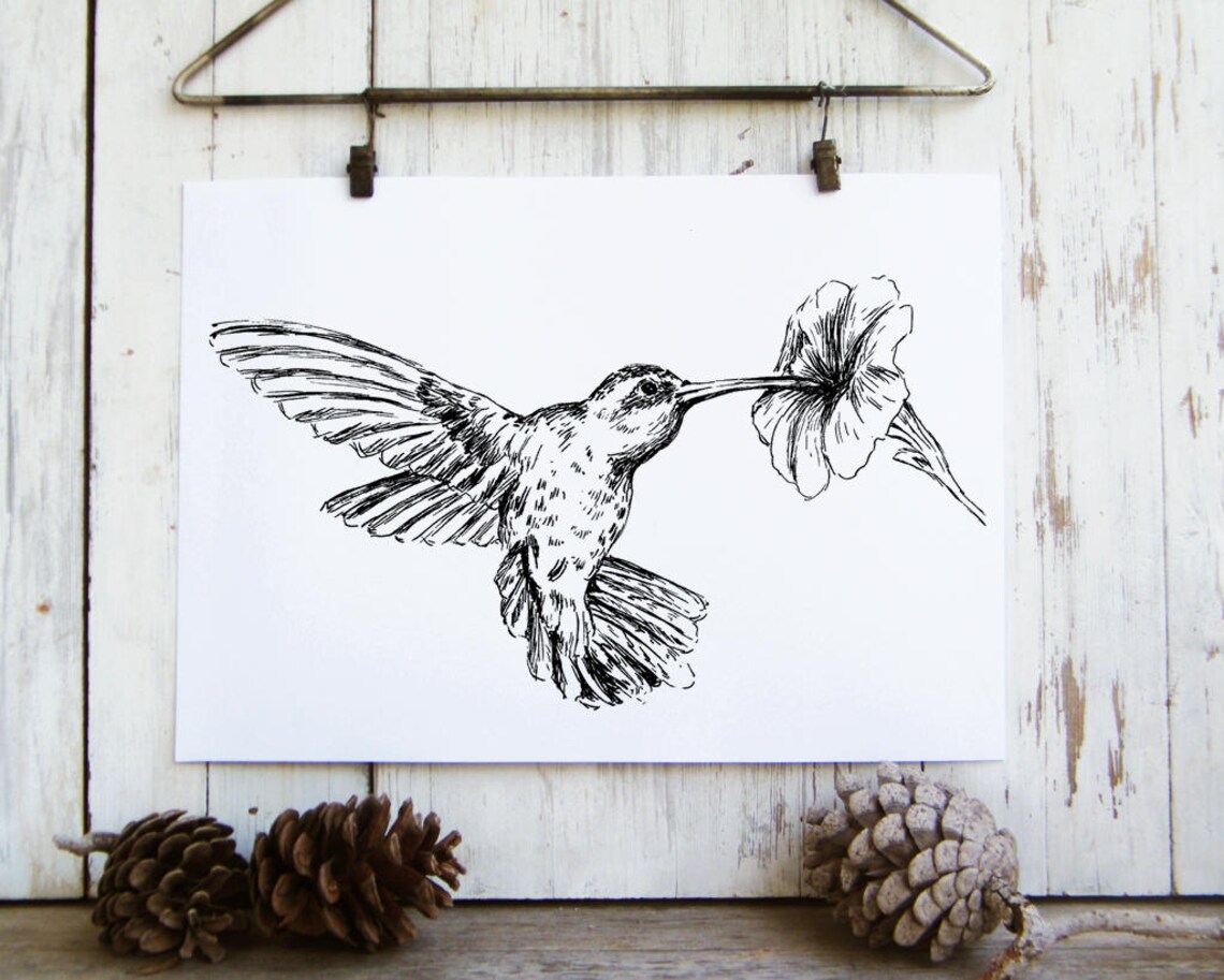 Black White Hummingbird Art Print, Nature Bird Drawing - Image 2