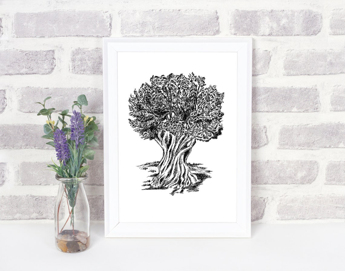 Olive Tree Ink Drawing Black and White Mediterranean Botanical Poster