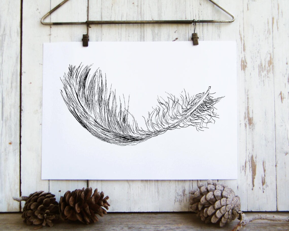 Delicate Feather Ink Sketch Poster Minimalist Black and White Nature Decor - Image 3