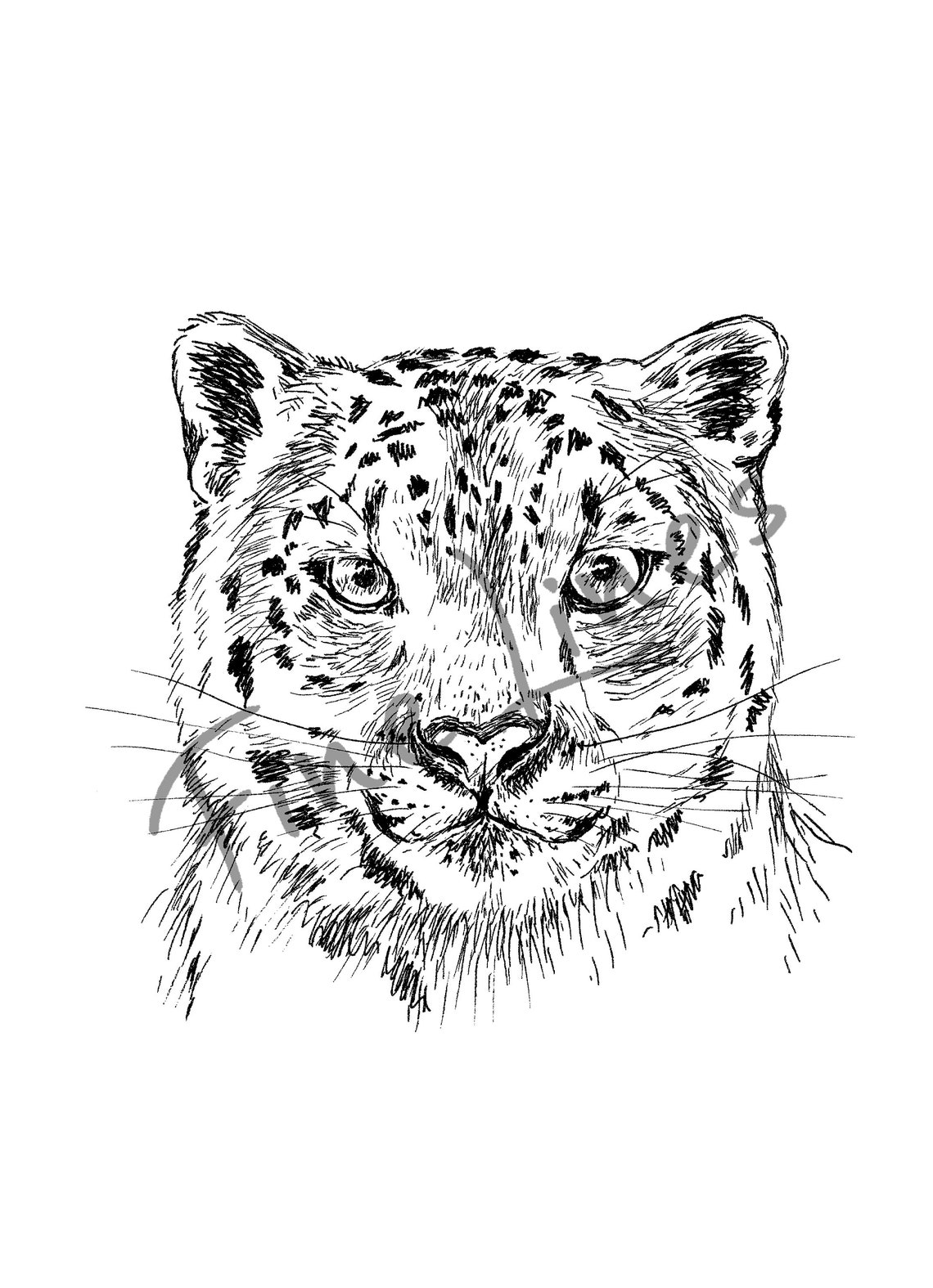 Wall Art Unique Wall Dcor Art Prints Black And White Nature Print Animal Realistic Art Leopard - Image 2