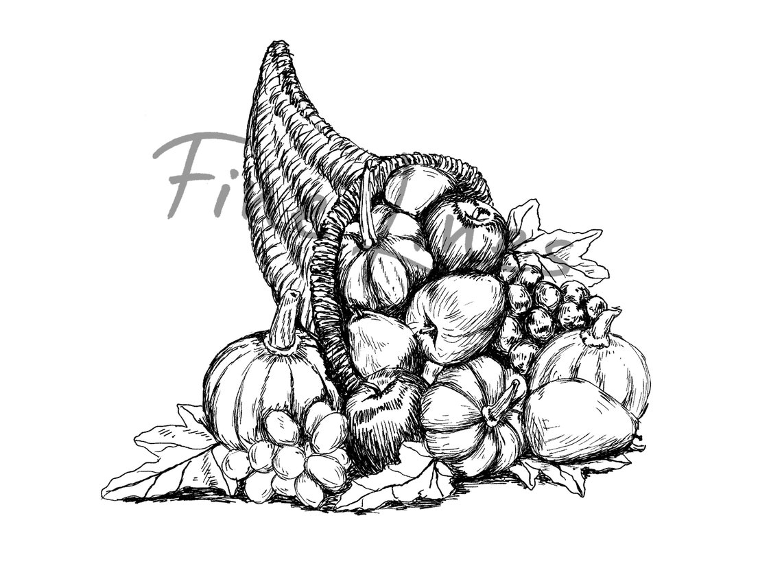 Cornucopia Horn Of Plenty Harvest Pumpkins Ink Sketch Wall Art - Image 3