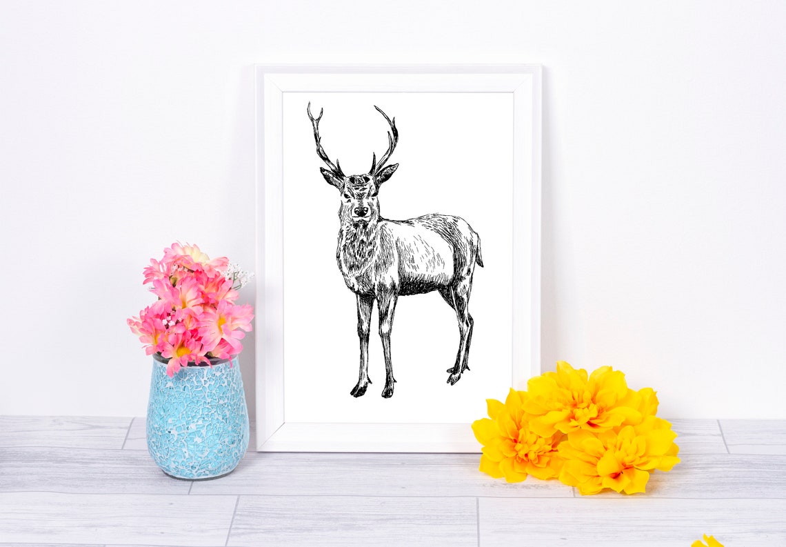 Wall Art Unique Wall Dcor Art Prints Black And White Nature Print Animal Realistic Art Deer Decor - Image 3