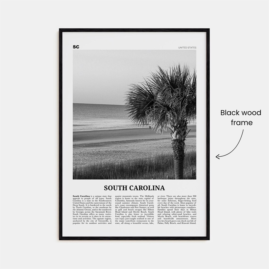 South Carolina Black And White Travel Poster, Map - Image 3