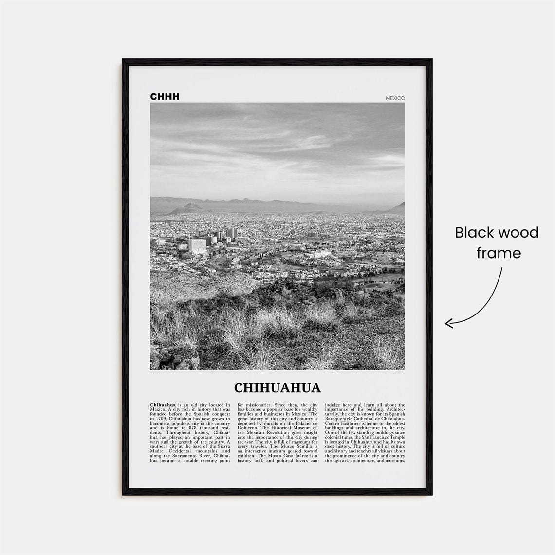 Chihuahua Black and White Wall Art Poster - Image 3