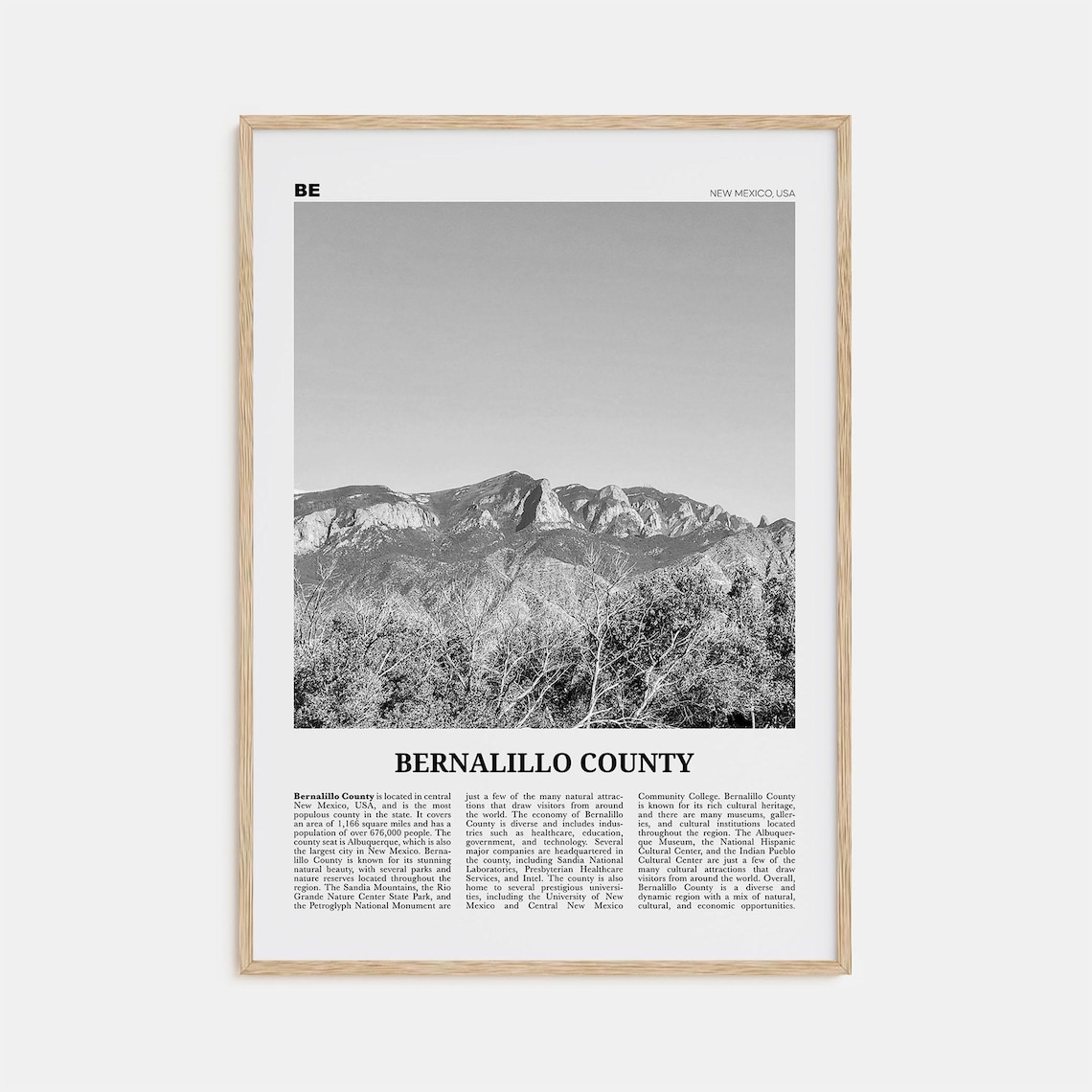 Bernalillo County Black And White Travel Poster