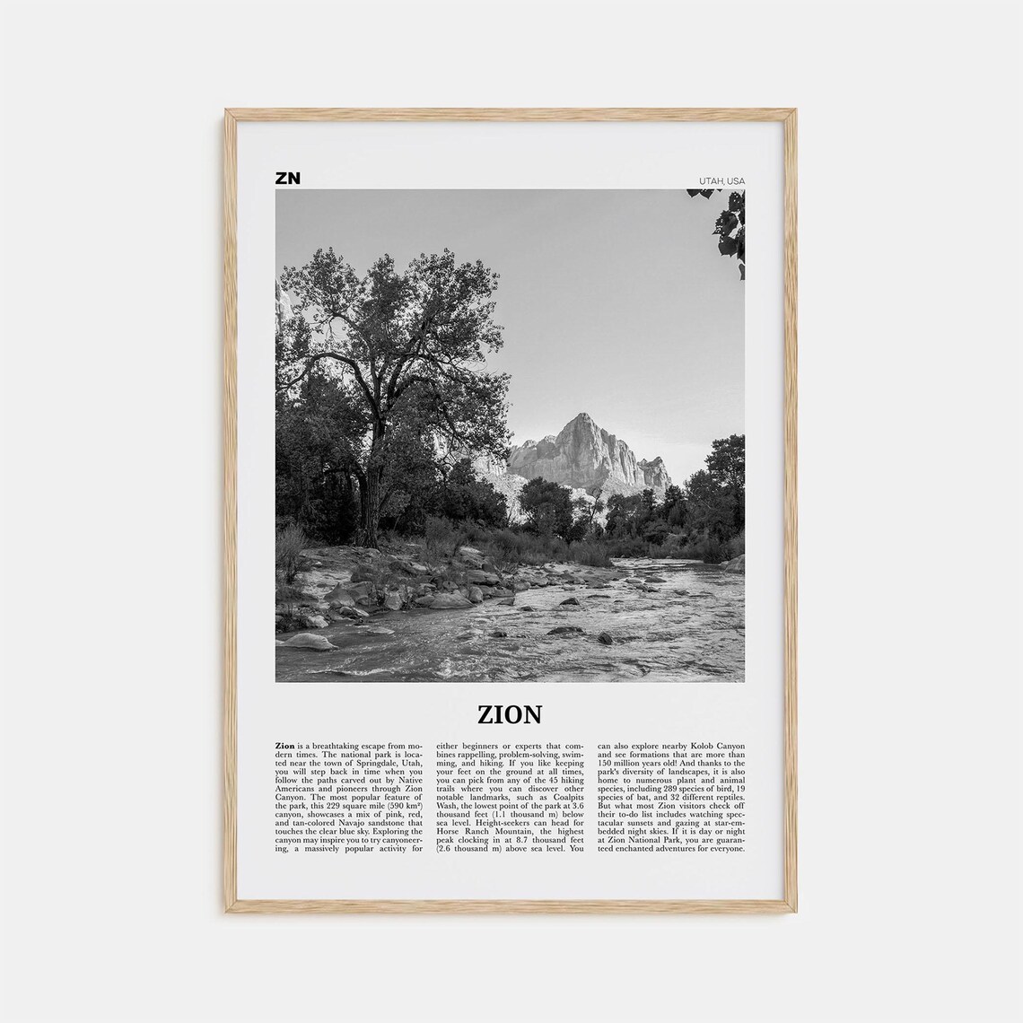 Zion National Park Black And White Travel Poster