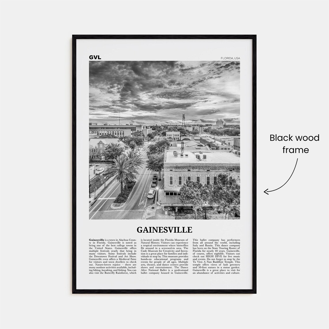 Gainesville Black and White Travel Poster Art Print - Image 3