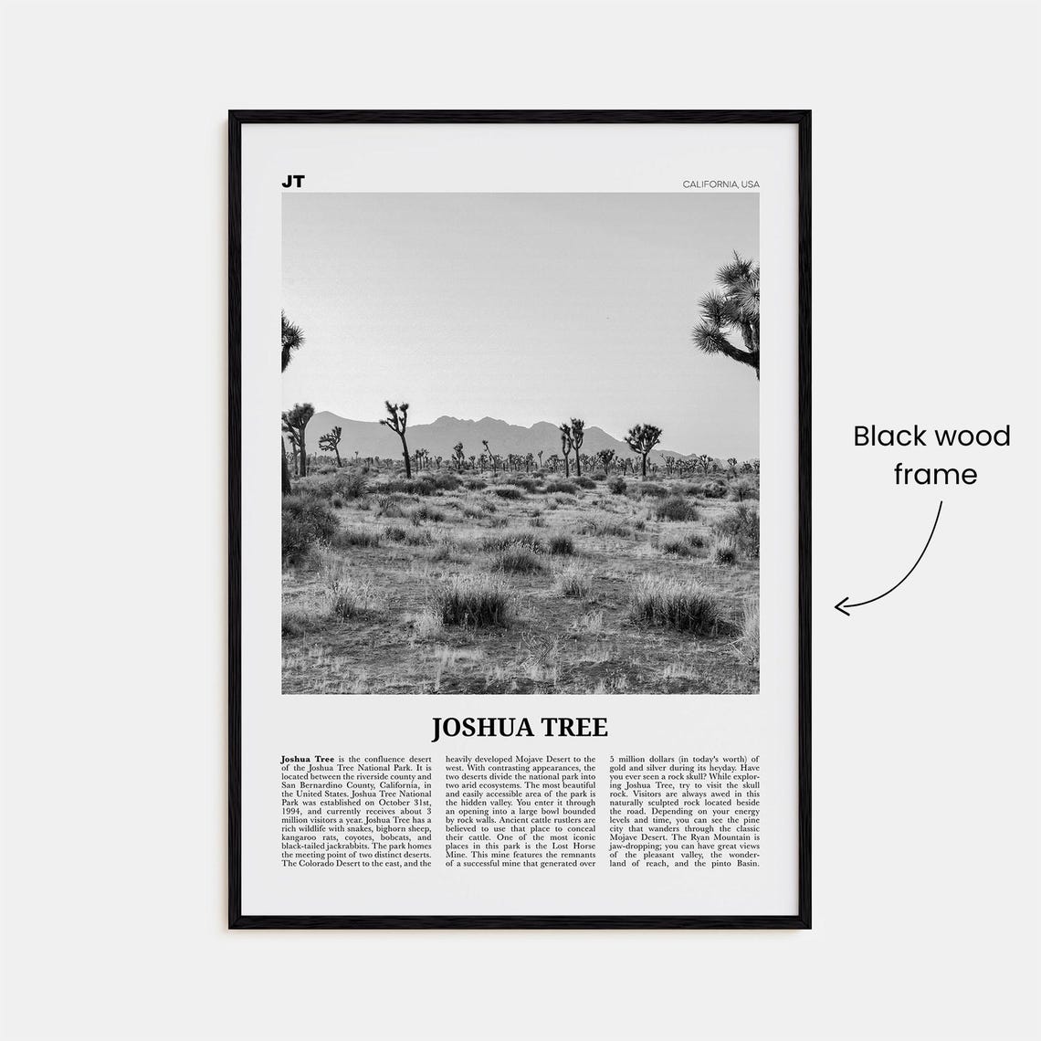 Joshua Tree National Park Black And White Poster - Image 3