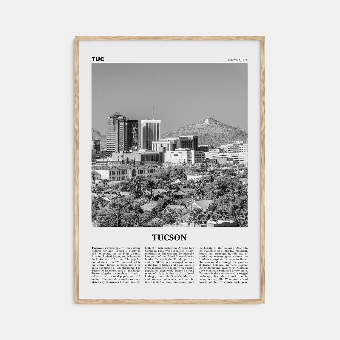 Tucson Black and White Travel Poster, Arizona