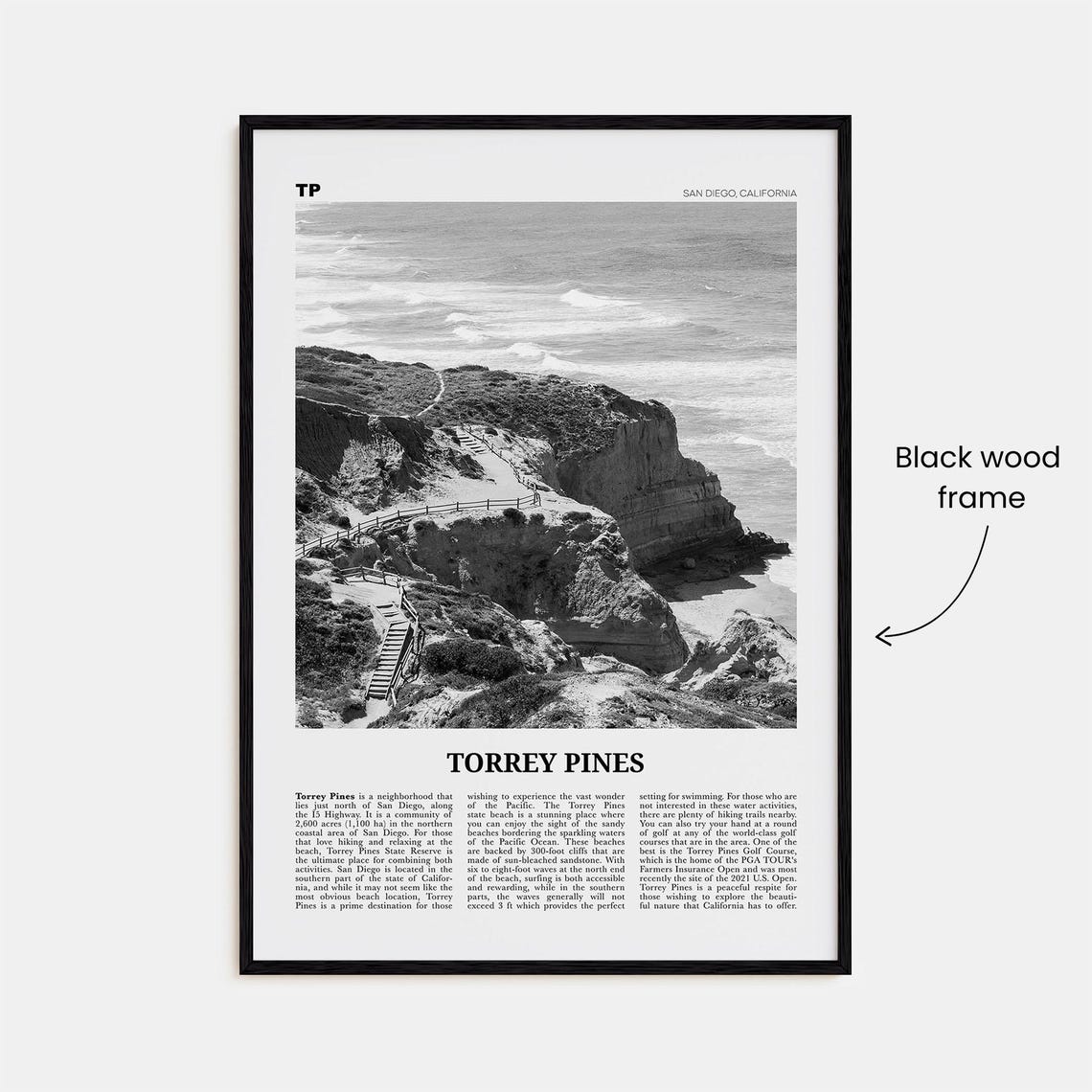 Torrey Pines Black and White Travel Poster, San Diego - Image 3