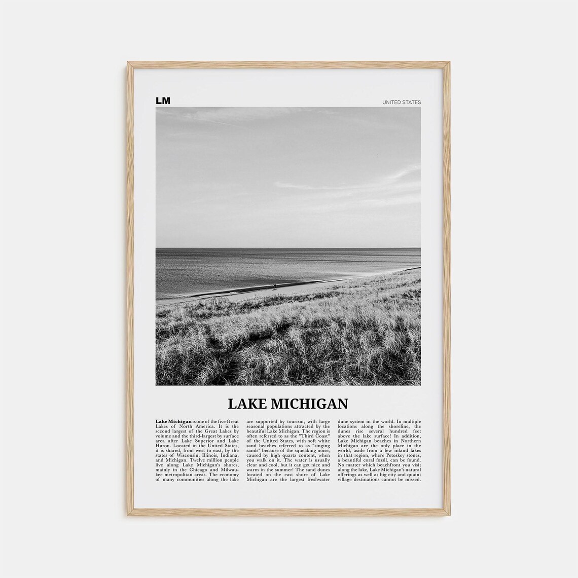 Lake Michigan Black and White Travel Poster Art