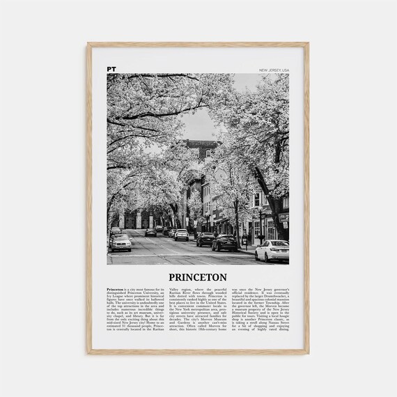 Princeton Black and White Travel Poster, New Jersey