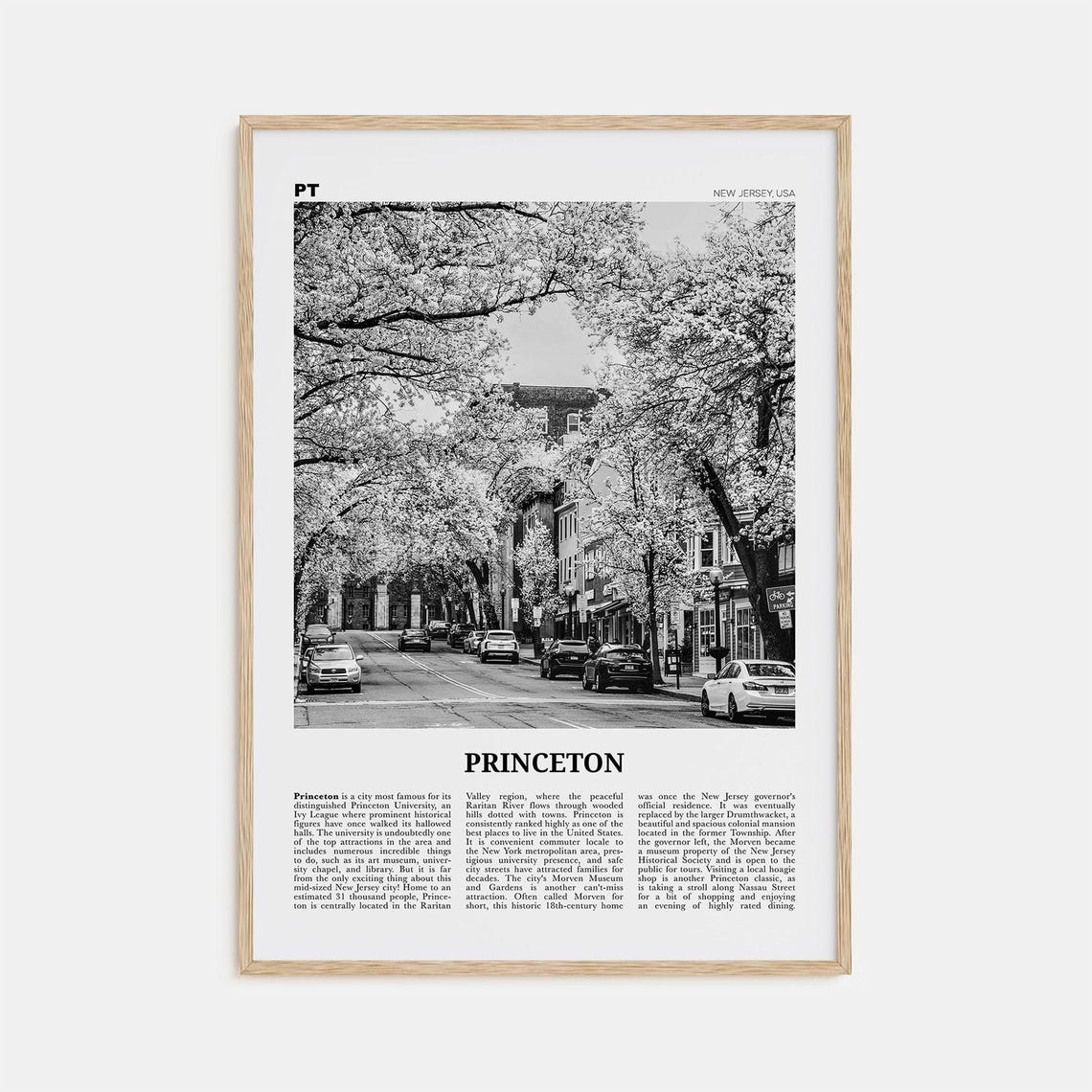 Princeton Black and White Travel Poster, New Jersey