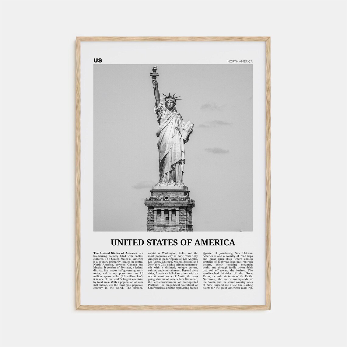 United States Of America Black And White Art Print