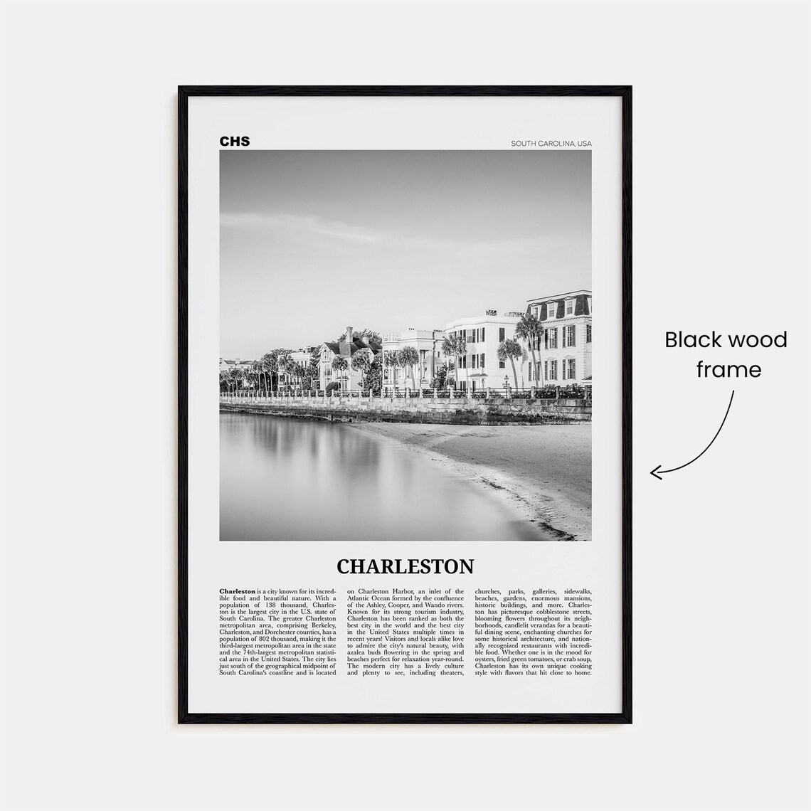 Charleston, South Carolina Black and White Travel Poster - Image 3