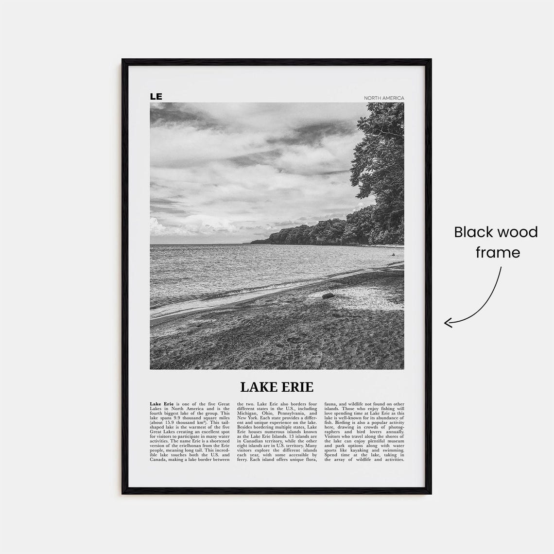 Lake Erie Black and White Travel Poster - Image 3