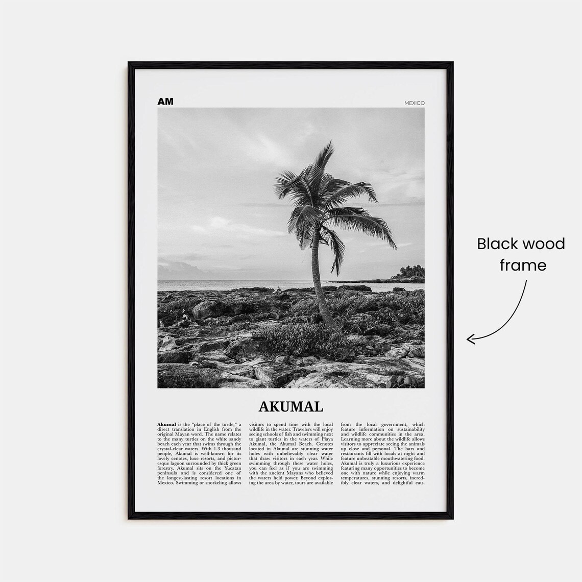 Akumal Mexico Black And White Travel Poster Art Print - Image 3